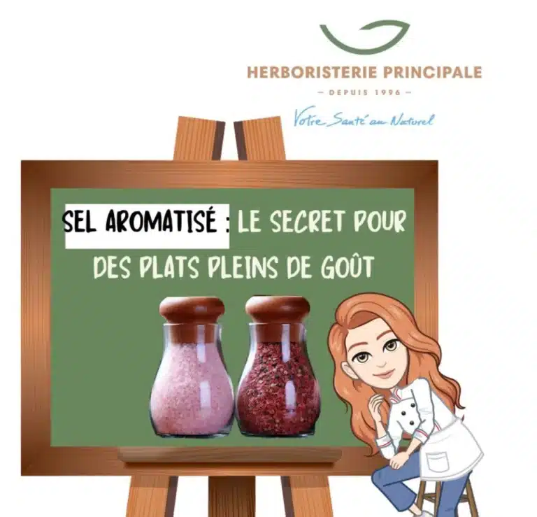 caricature article blog Sel aromatisé