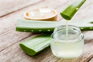 aloe vera