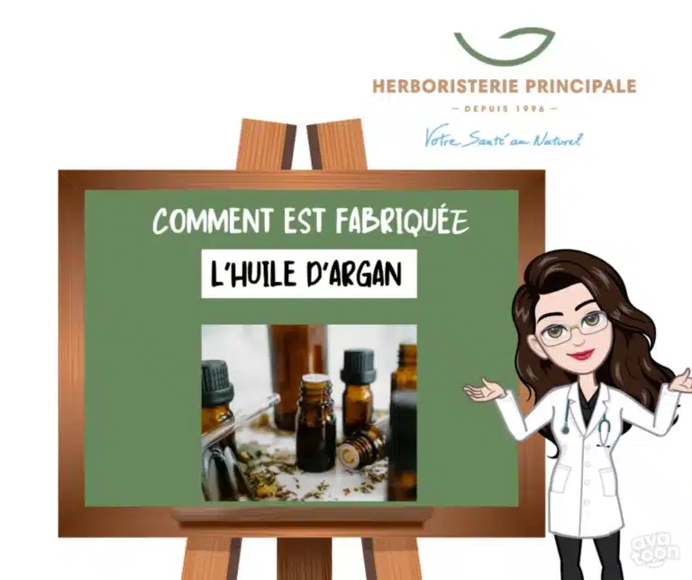 article comment est fabriquee lhuile dargan article comment est fabriquée l'huile d'argan