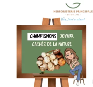 caricature article blog champignons