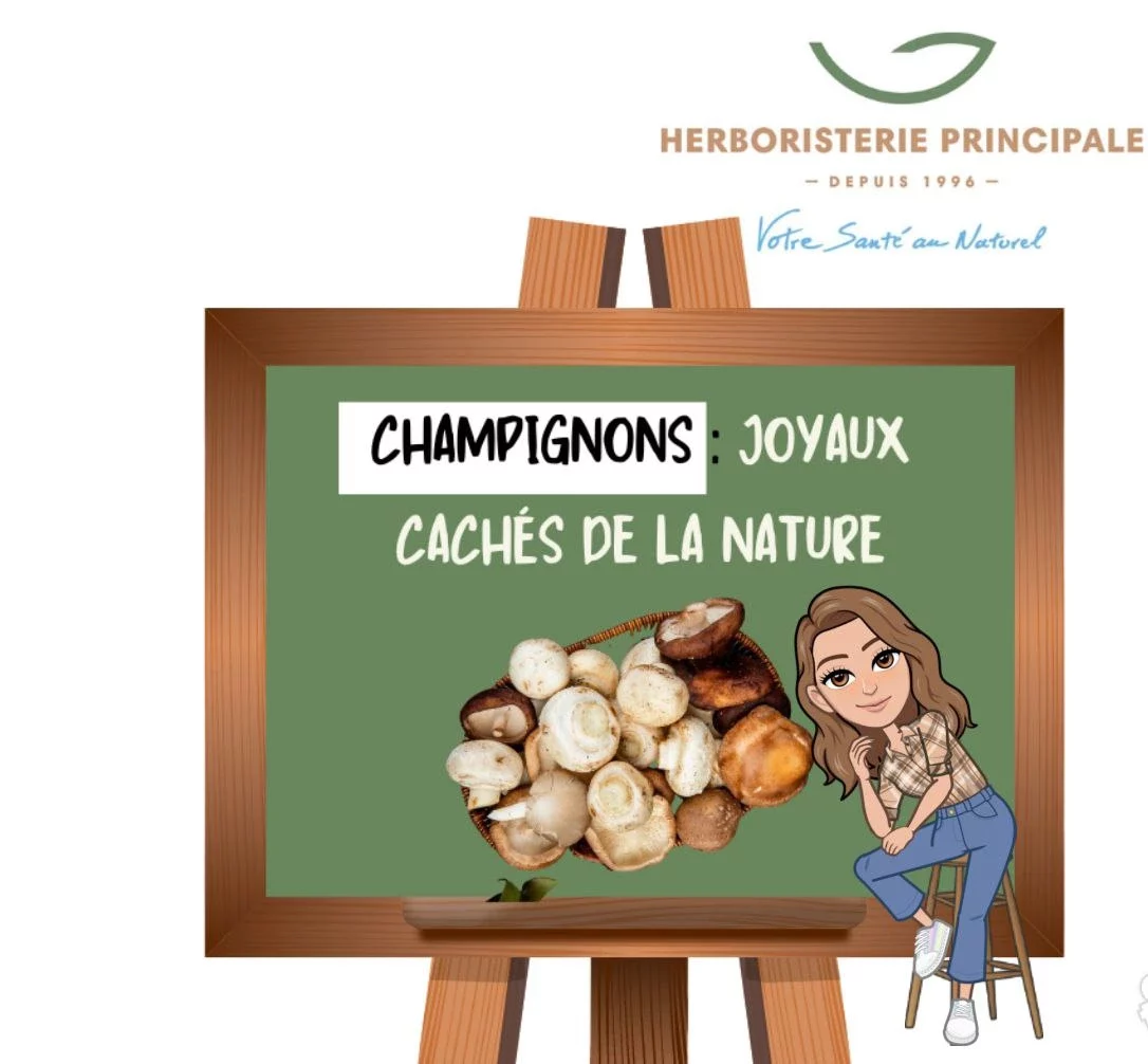 Quels sont les bienfaits de manger des champignons ?