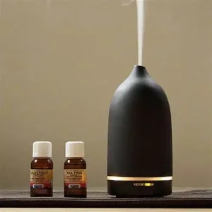 diffuseur dhuiles essentielles diffuseur d'huiles essentielles
