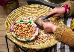 extraction des amandes d’argan