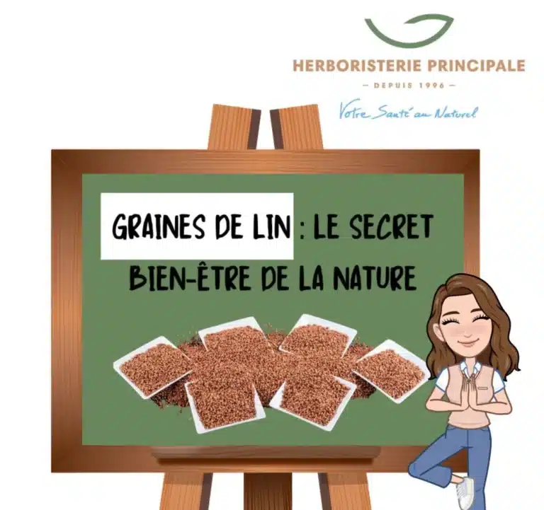graine de lin.webp e1728474897262 caricature article blog graines de lin