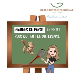 caricature article blog graines de pavot