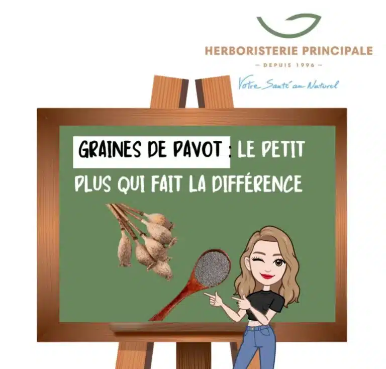 graines de pavot.webp e1728480897134 caricature article blog graines de pavot