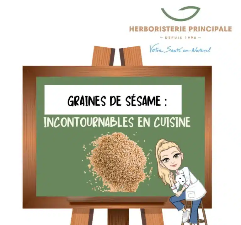 graines de sesame.webp e1728486957747 caricature article blog graines de sésame