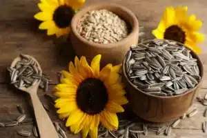 graines de tournesol