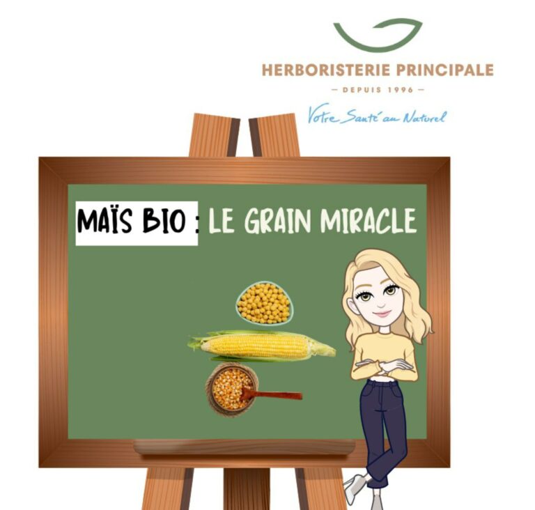 mais bio e1728886272431 caricature article blog maïs-bio