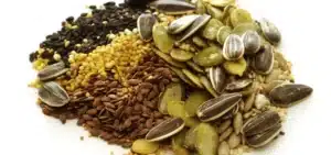 mix de graines oleagineuses mix de graines oleagineuses