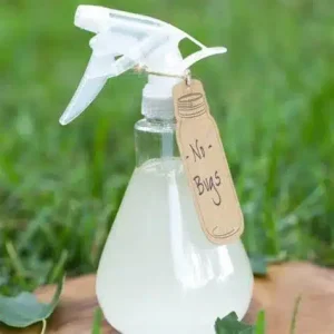 spray répulsif 