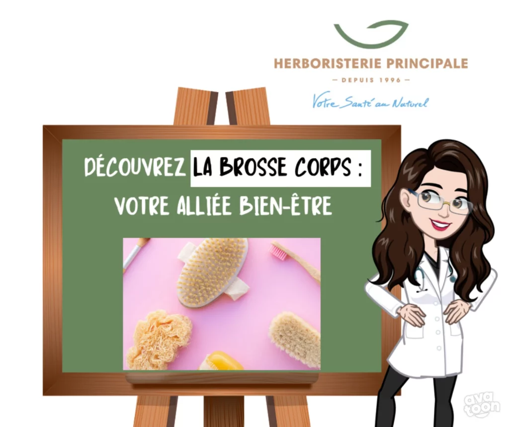 Article brosse corps