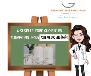 Article shampoing cheveux abimés