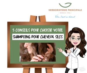 Article shampoing cheveux secs