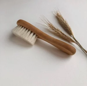 brosse visage 2