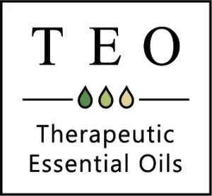 logo marque Teo