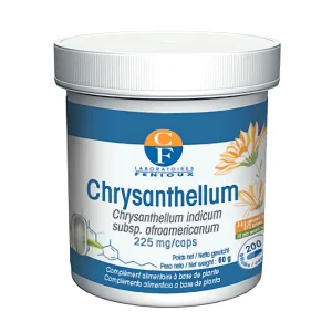 Chrysanthellum Fenioux plante americanum